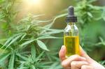 Hemp Oil & CBD Oil